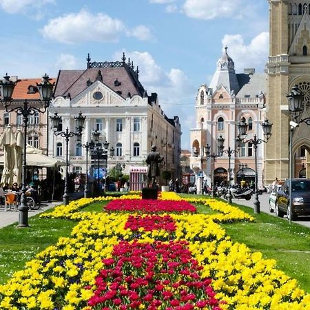 Family Top Rooms Bela Lada Sobe Novi Sad Dış mekan fotoğraf