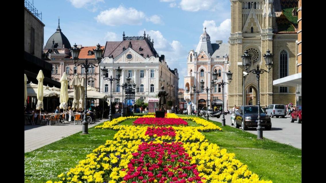 Family Top Rooms Bela Lada Sobe Novi Sad Dış mekan fotoğraf